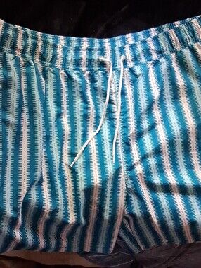 NWT! Goodfellow & Co.Men's Drawstring Swim Shorts